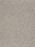 Ковролин AW Terra 94 фото 1 | FLOORDEALER